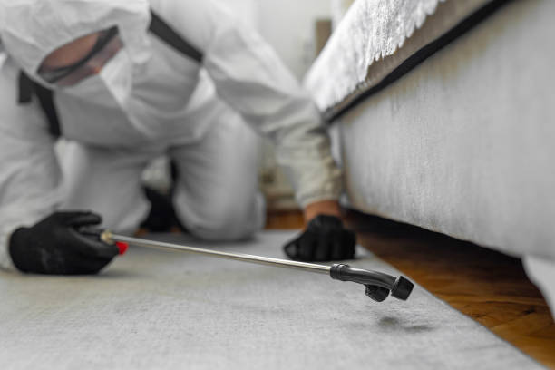 Professional Wasp Control technician working in Santa Ana Pueblo, NM