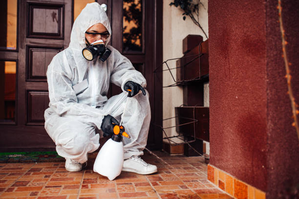 Reliable Rodent Control contractor in Santa Ana Pueblo, NM by Nex Pest Control