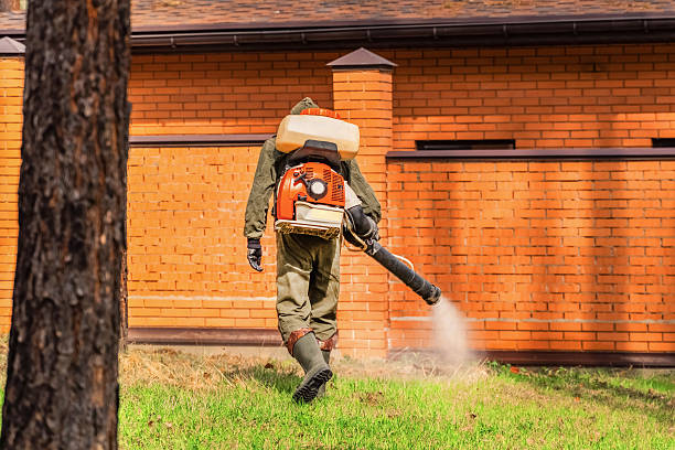 Trusted Mosquito Control service in Santa Ana Pueblo, NM - Nex Pest Control